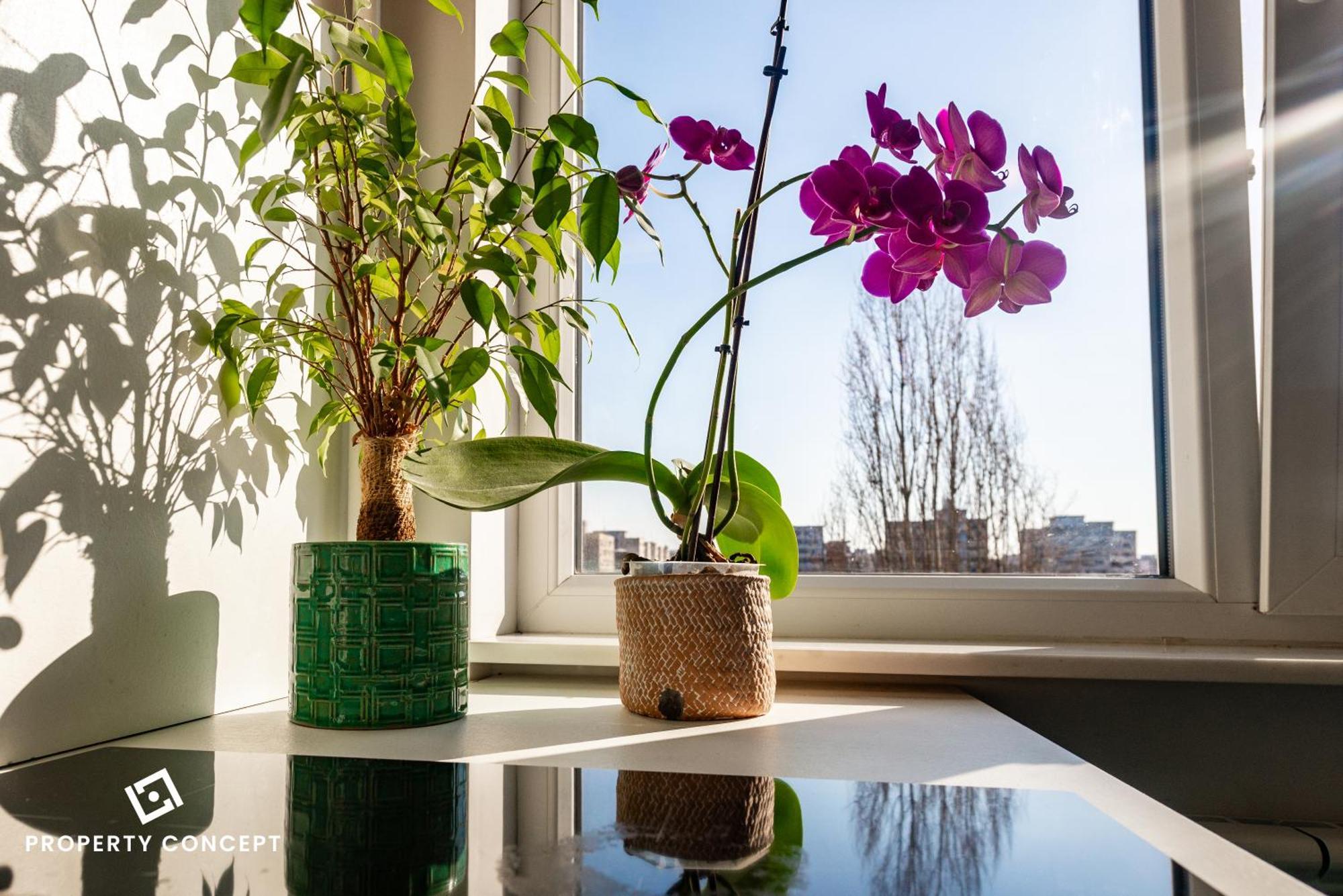 Blissful Retreat Apartment Bucureşti Ngoại thất bức ảnh